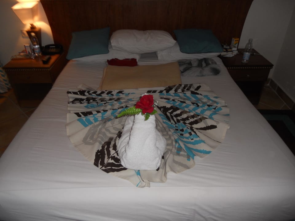 Handtuchkunst Seagull Beach Resort