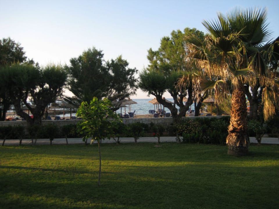 Strandnaher Bungalow Phãea Cretan Malia