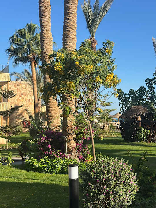 Gartenanlage ananea Hurghada
