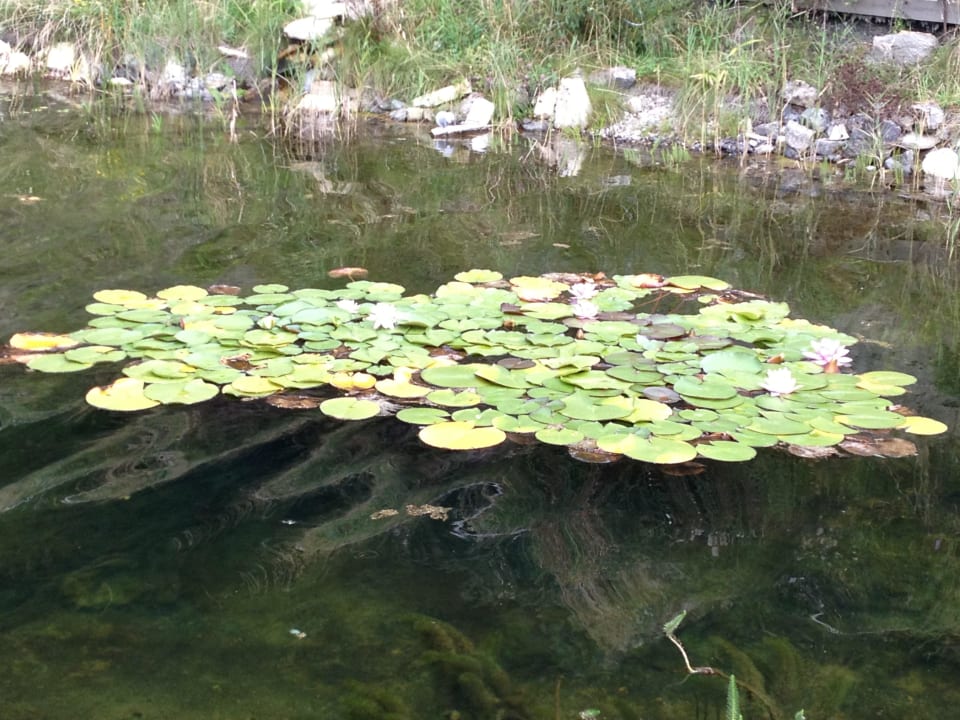 Bienenalm LUXGUT - OLIVIA