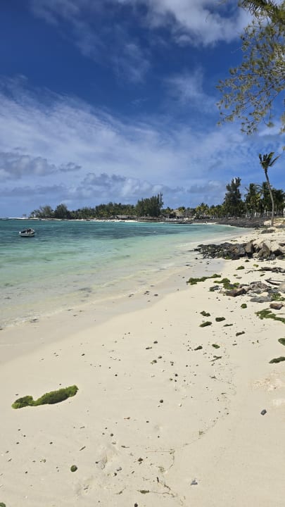 Strand Ambre Mauritius