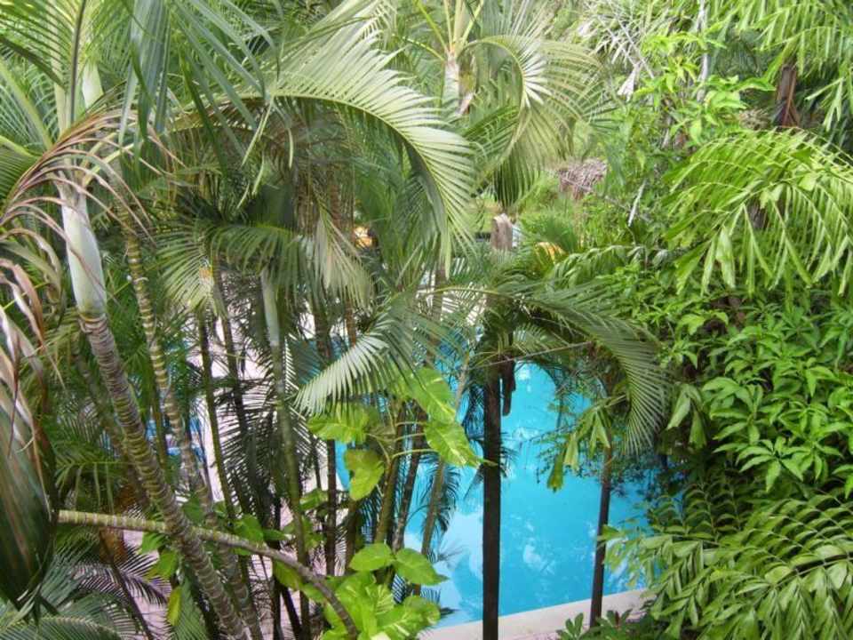 Poolblick von oben Comfort Inn Palenque