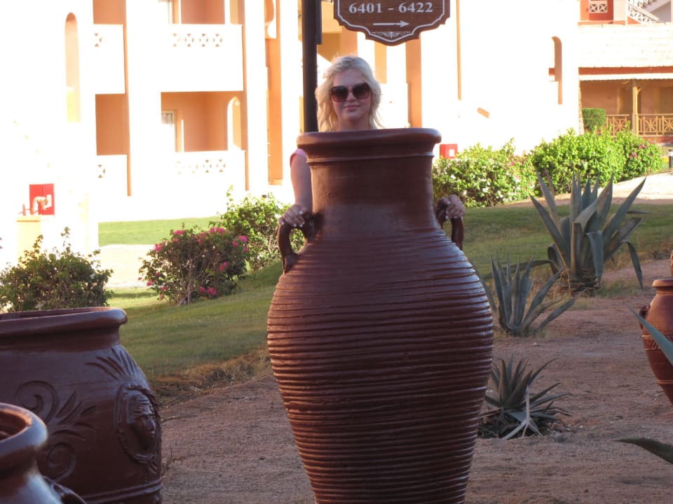 Ogród Pickalbatros Aqua Park Resort - Hurghada