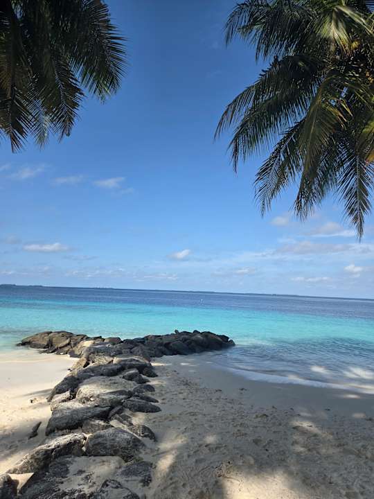 Strand Fihalhohi Maldives