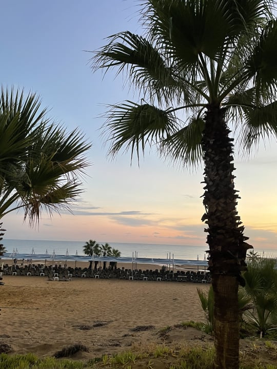 Strand Club Grand Aqua