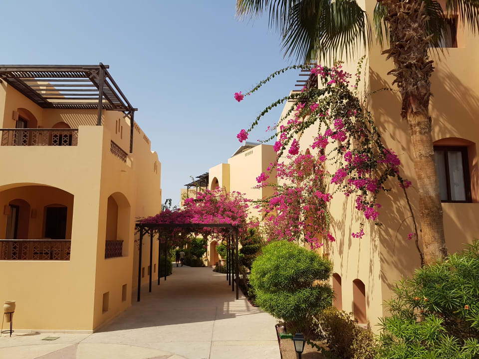 Gartenanlage Steigenberger Coraya Beach - Adults only