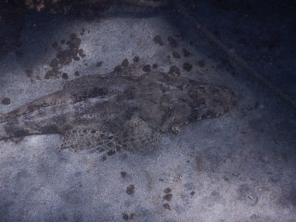 Sport & Freizeit Malikia Resort Abu Dabbab