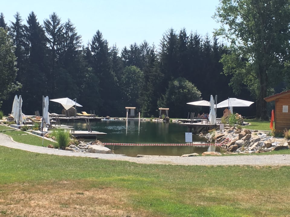 Pool Hotel Mooshof