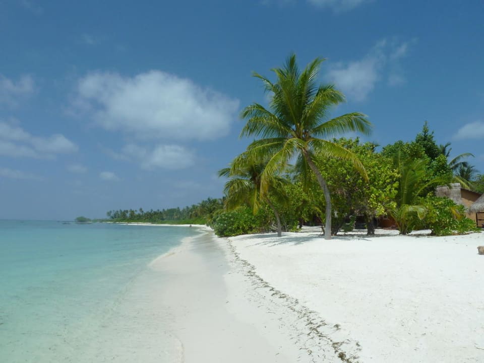 Traum-Strand zwischen Beach- und Wasserbungis Kuredu Island Resort & Spa