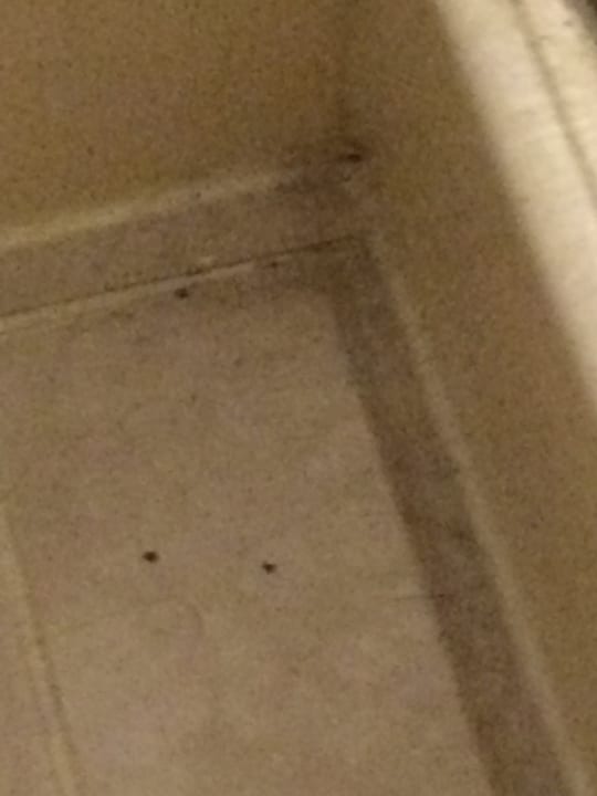 Zimmer Hotel Lindwurm