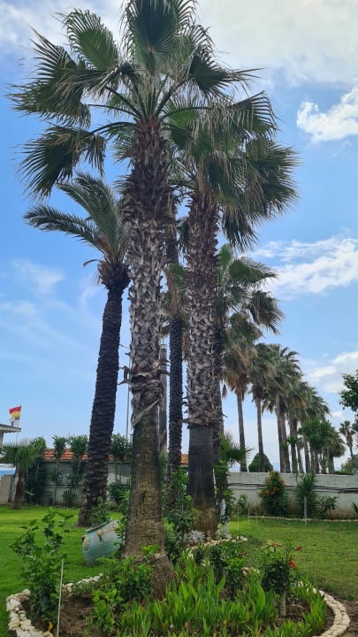 Gartenanlage Onkel Hotels - Beldibi Resort