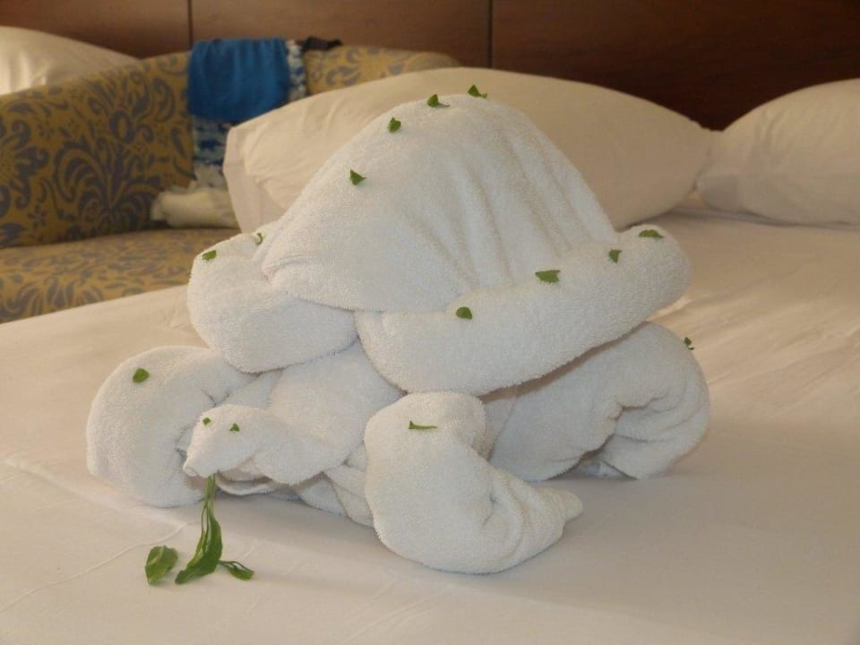 Żółw Stella Garden Resort & Spa, Makadi Bay