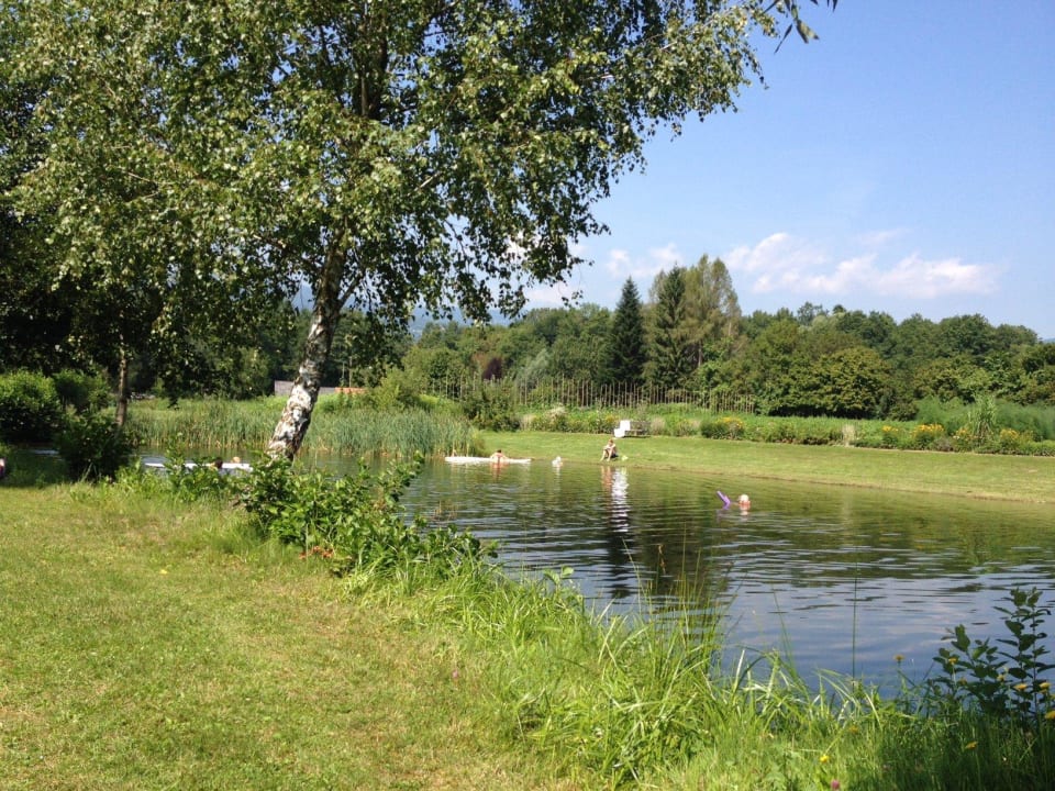 Der hauseigene Badeteich Weingasthof Rauch-Hof