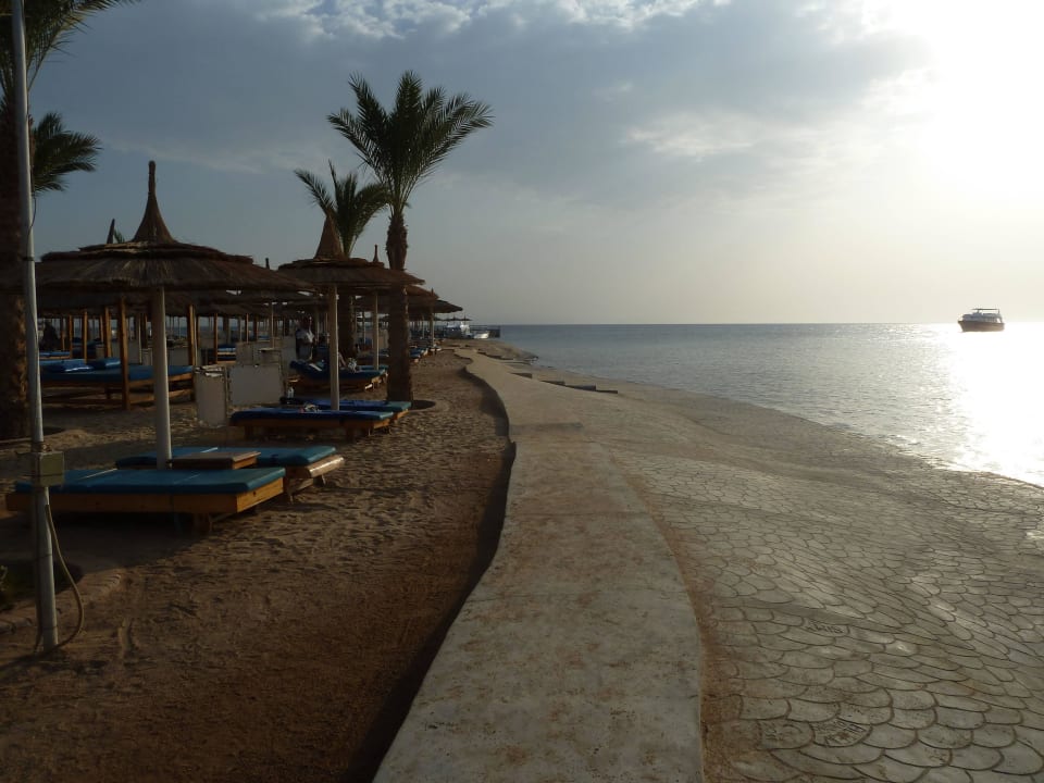 Schnorchelseite Beach Albatros Resort