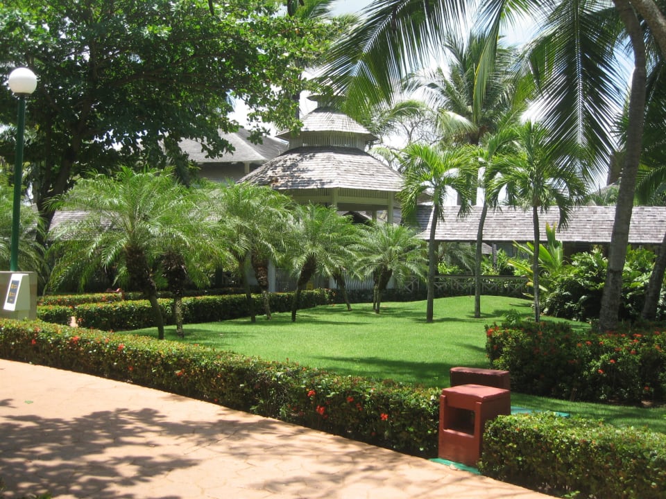 Weg zum Hauptrestaurant Iberostar Waves Punta Cana