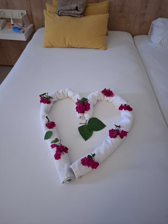 Zimmer Hotel Nova Park