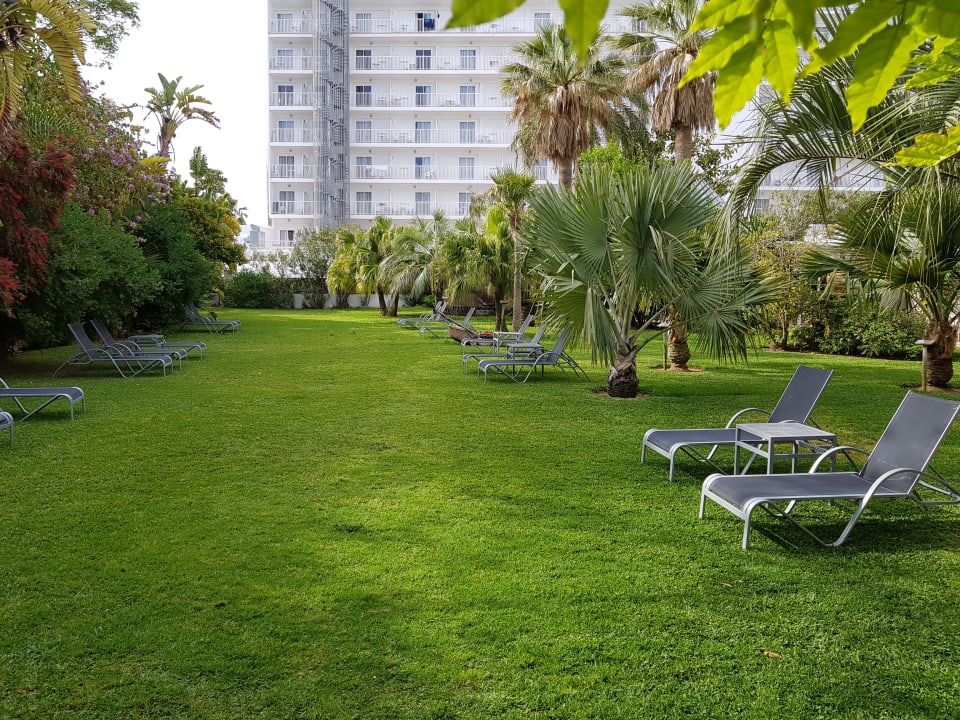 Gartenanlage Bahía de Alcúdia Hotel & Spa