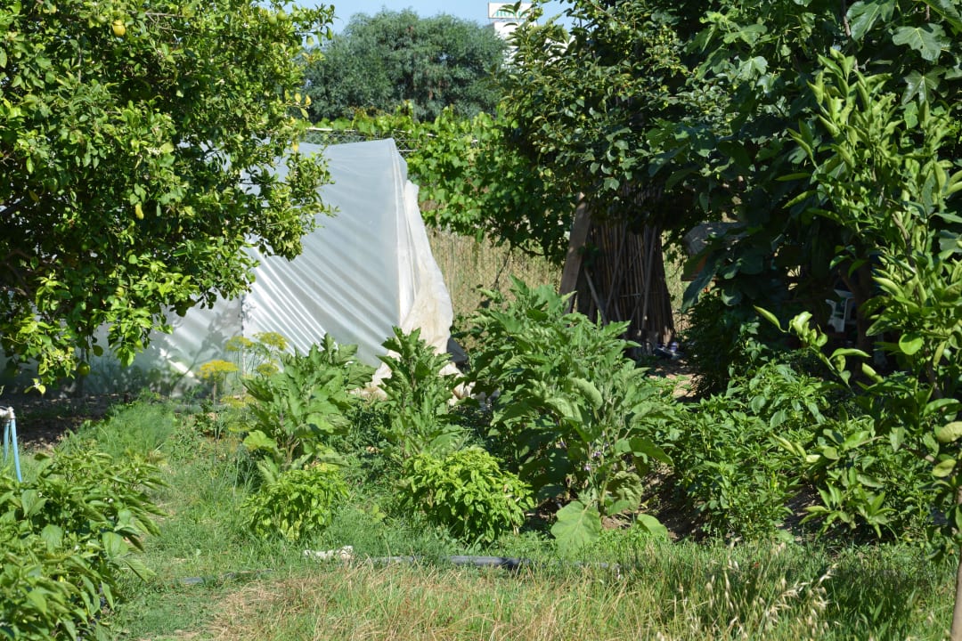 Garten Yavuzhan Otel