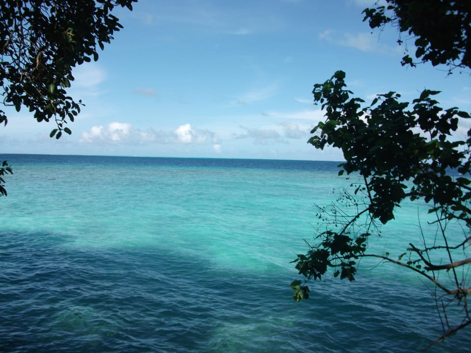 Vorm Bungi Embudu Village