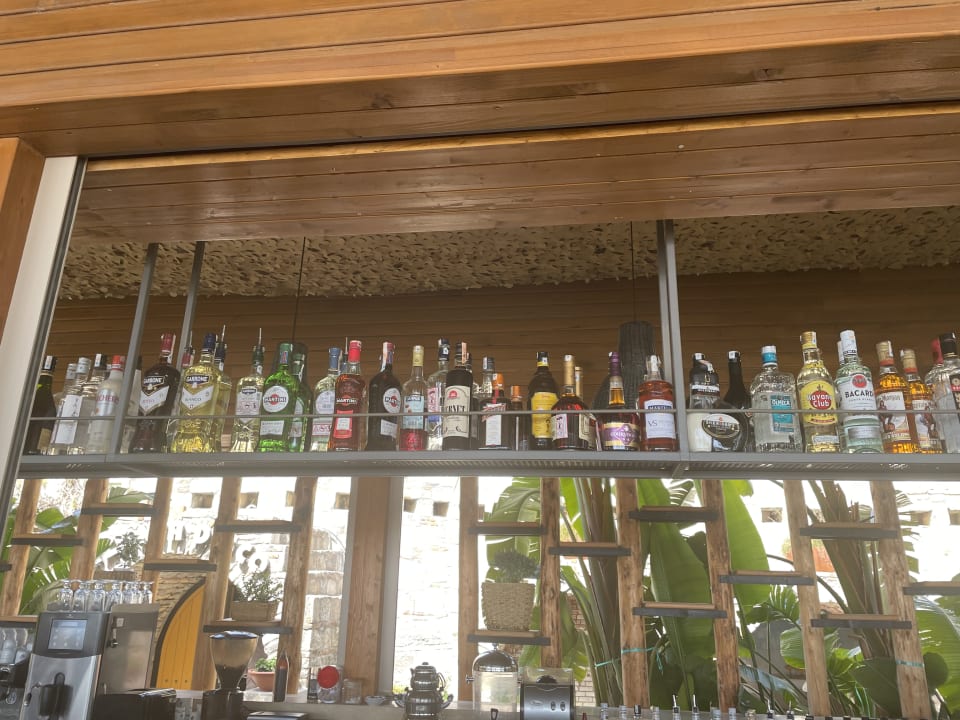 Gastro Arum Barut Collection