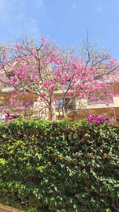 Gartenanlage Asteria Family Belek