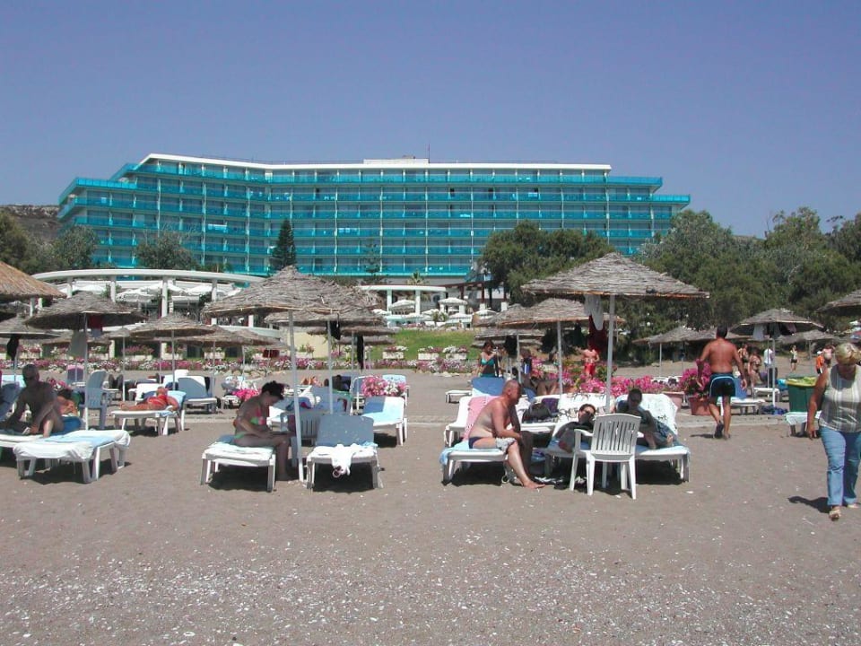 Vom Strand zum Hotel Hotel Calypso Beach