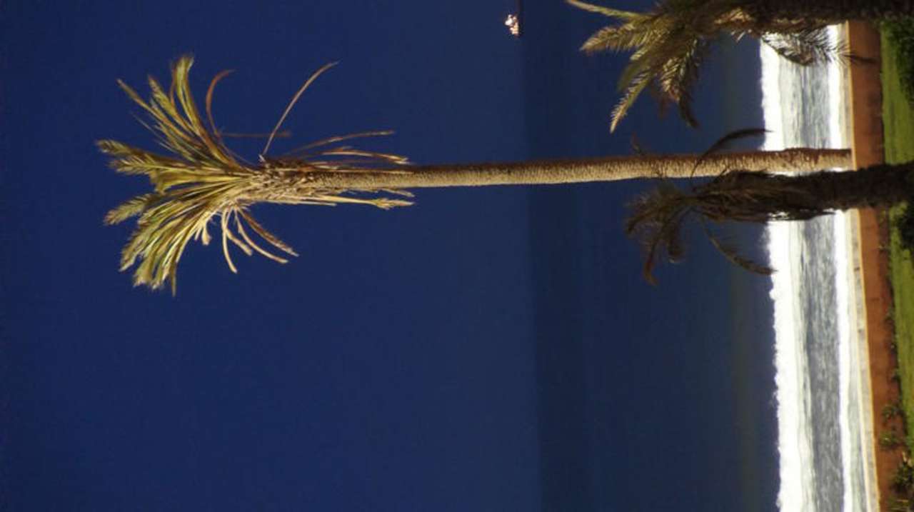 Blick vom Balkon Iberostar Waves Founty Beach