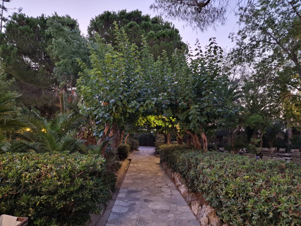 Gartenanlage Apollonia Beach Resort & Spa
