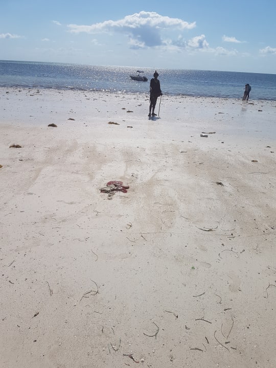 Strand Jaz Adonia Beach Resort