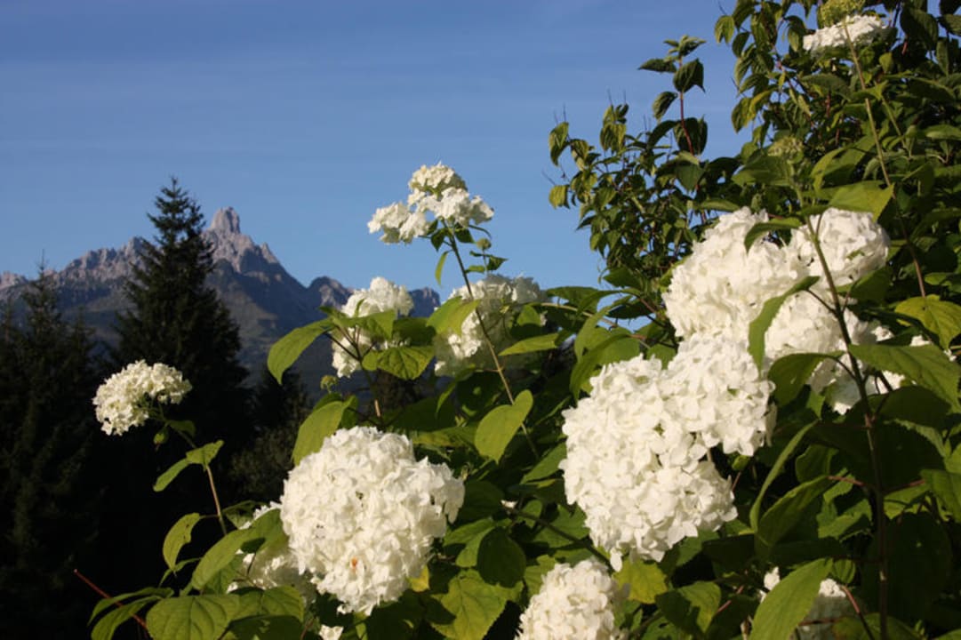 Garten mit Ausblick Apartments Richlegghof