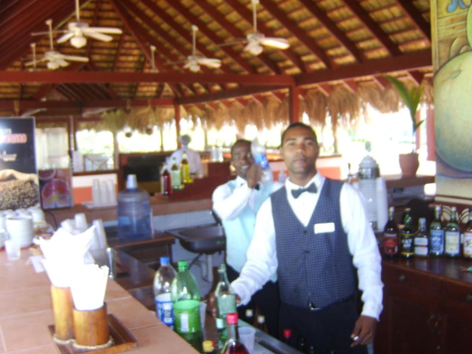 Bar Bahia Principe Grand El Portillo