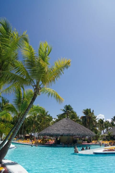 Pool mit Poolbar  Catalonia Punta Cana - All Inclusive