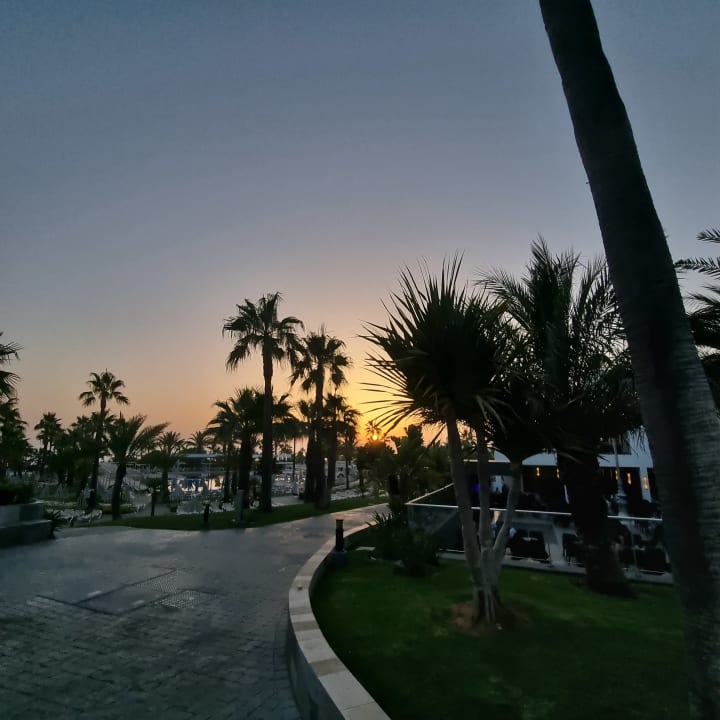 Gartenanlage Hotel Riu Chiclana