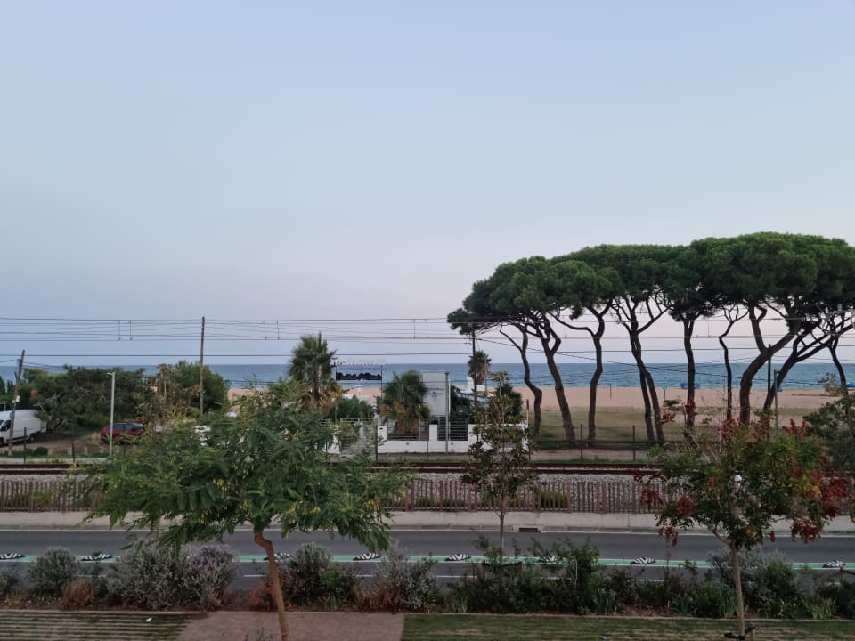 Ausblick ALEGRIA Maripins