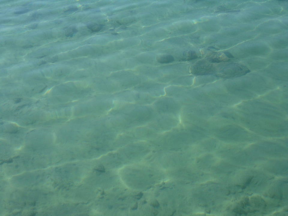 Das Meer Hotel Pine Bay Holiday Resort