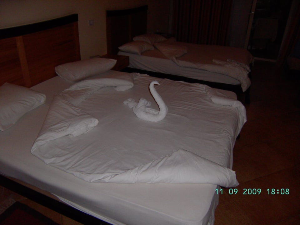 Schwan Prima Life Makadi Resort