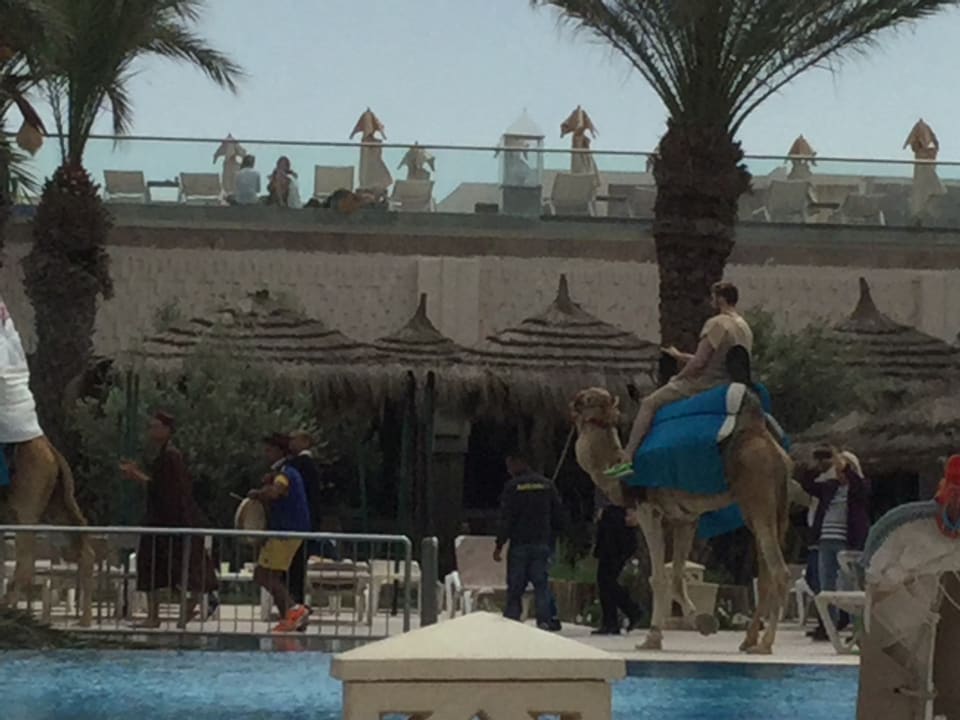 Aktion am Pool. Iberostar Waves Mehari Djerba