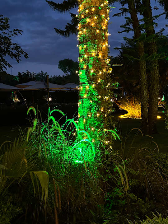 Gartenanlage TUI MAGIC LIFE Beldibi +16