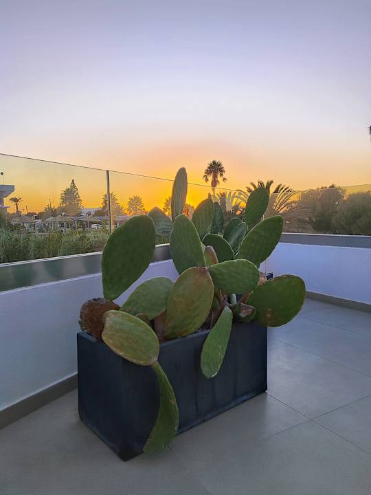 Gastro Atlantica Marmari Beach