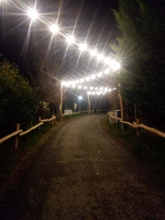 Ausblick Center Parcs Park Bostalsee