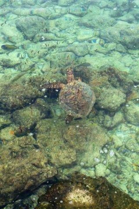 Hotel Olhuveli Beach & Spa Resort Sun Siyam Olhuveli