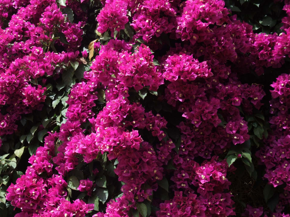 Hotel Albergaria Dias Hotel Albergaria Dias