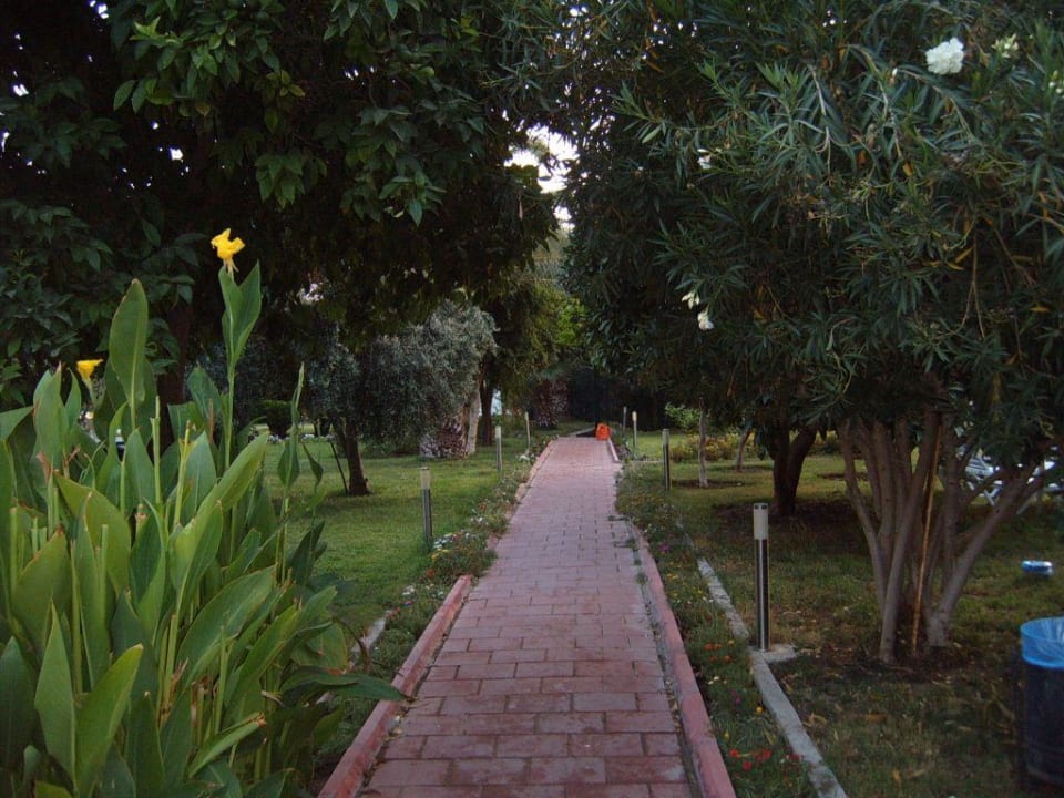 Der Garten vom Hotel Hane Apartments Hane Annex