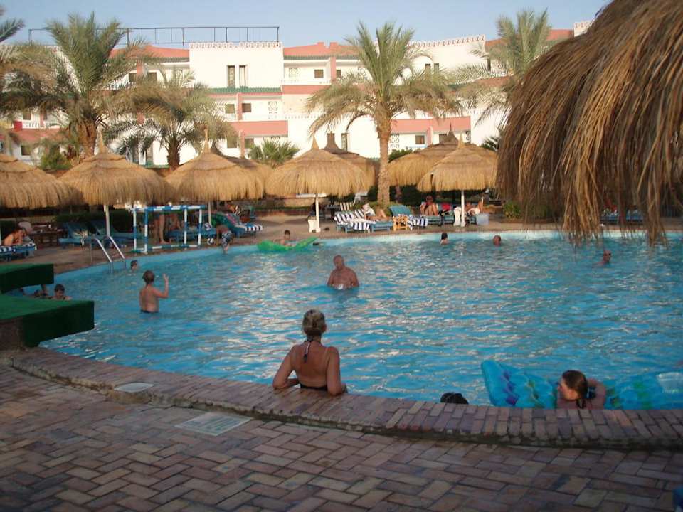 Unterer Pool Albatros Sharm Resort