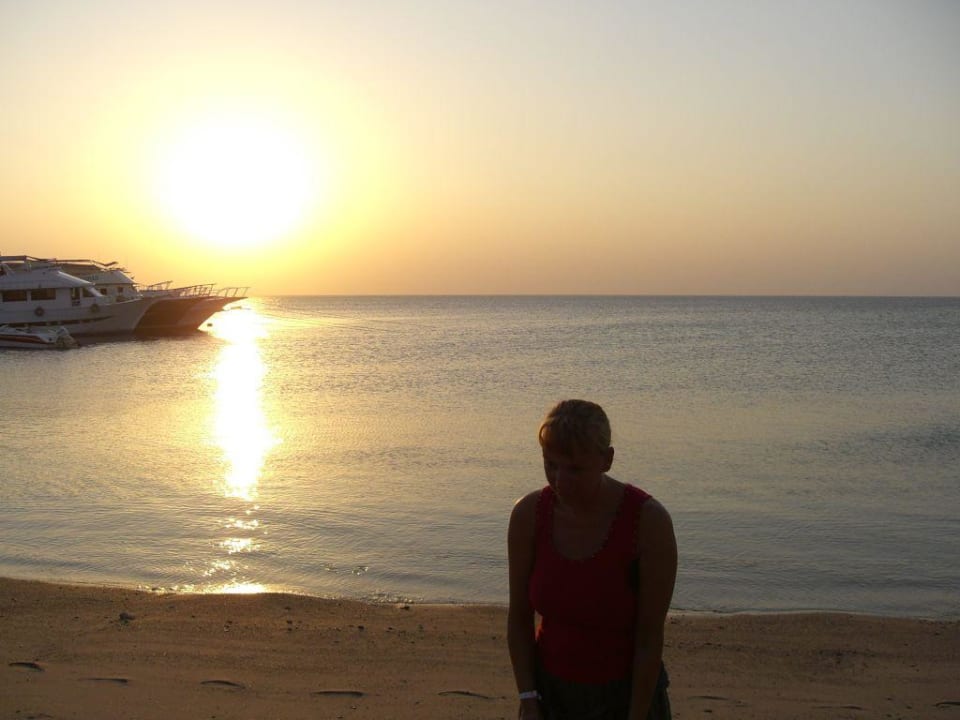Sonnenaufgang Beach Albatros Resort