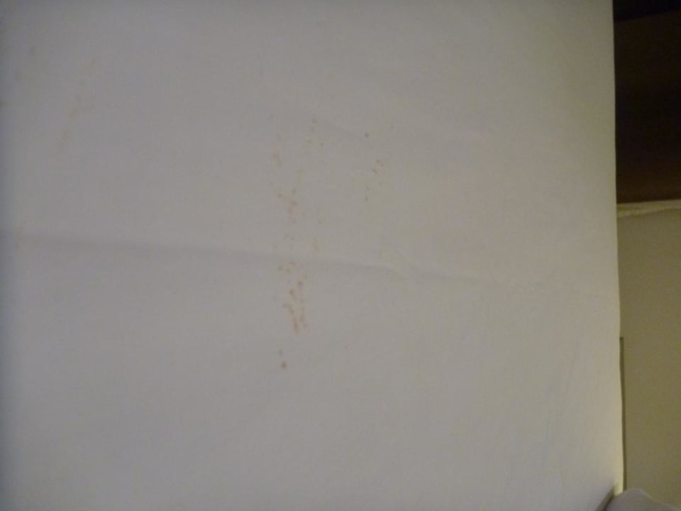 Superior Zimmer Peace Laguna Resort and Spa