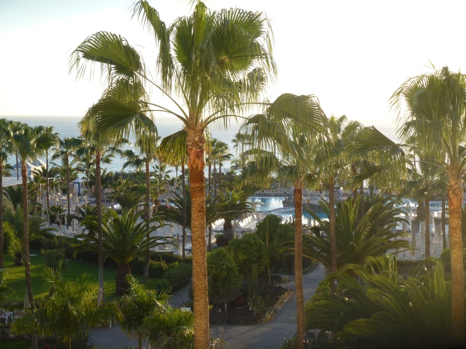 Blick aus Komfortzimmer auf Garten, Pool und Meer Hotel Riu Gran Canaria