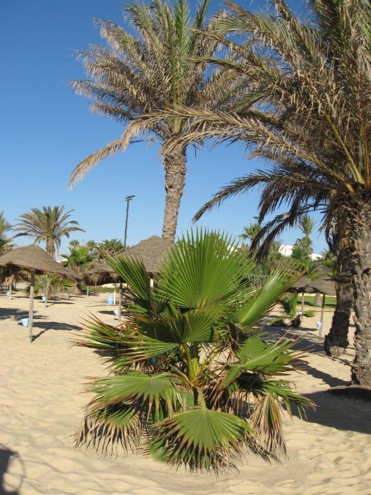 Strand Hotel Paradis Palace