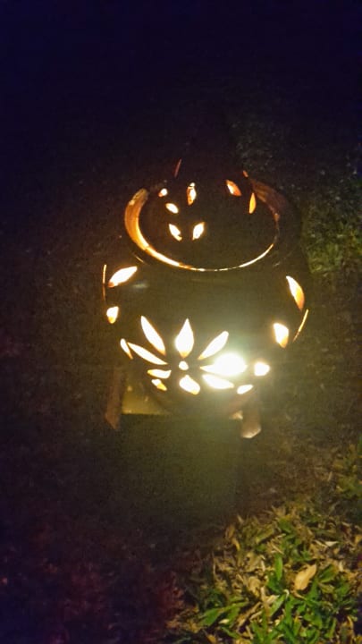 Gartenanlage Samui Paradies Resort