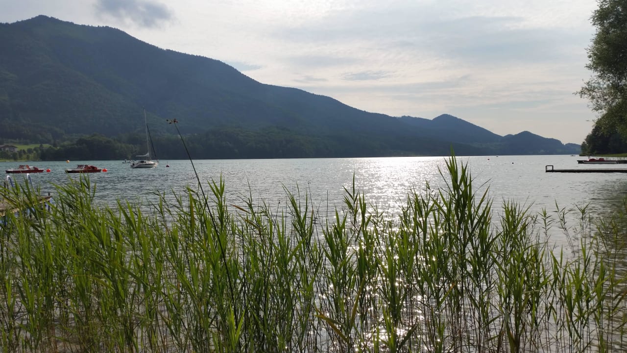 Privater Liegebereich  Waldhof Fuschlsee Resort